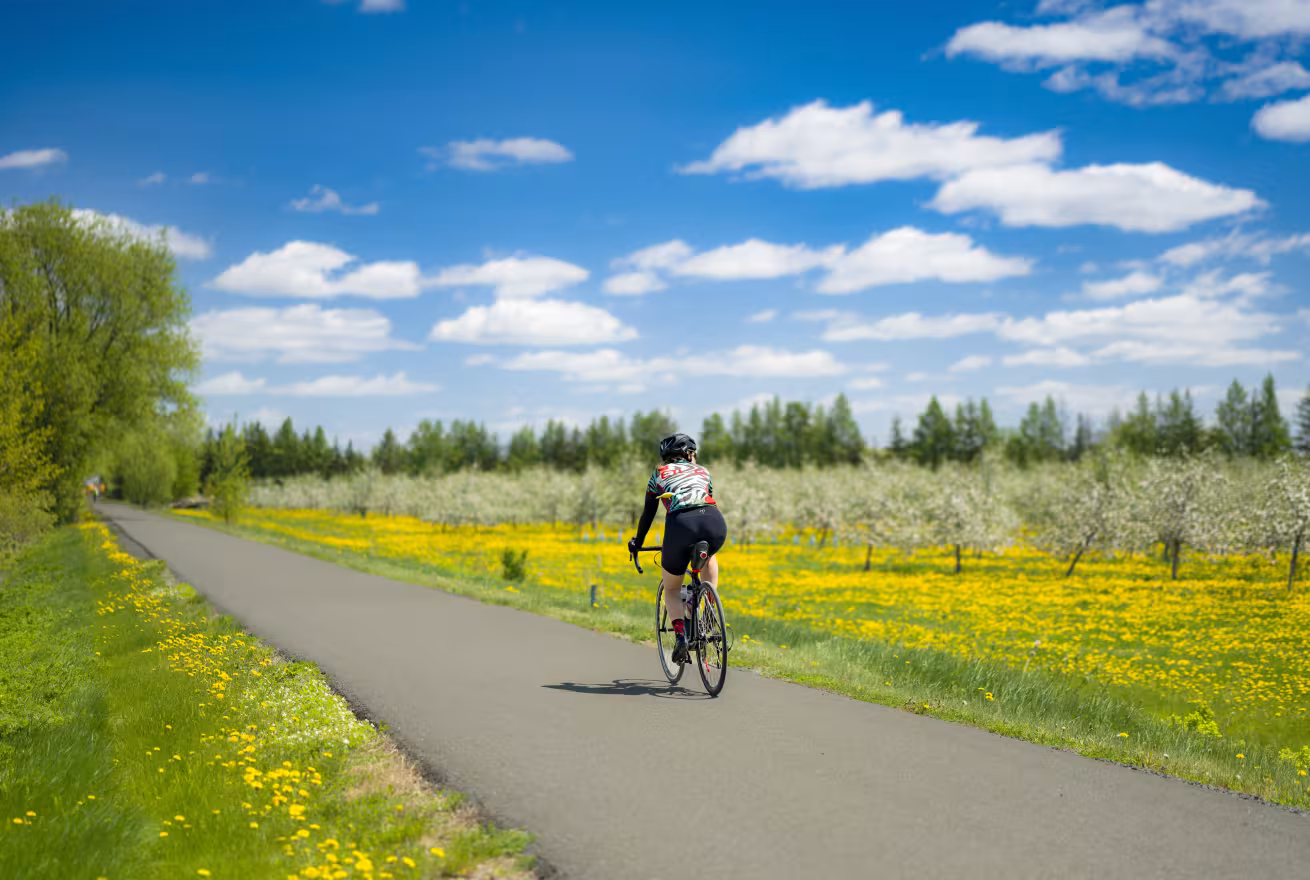 Cycliste devant des pommiers en fleurs sur La Route des Champs