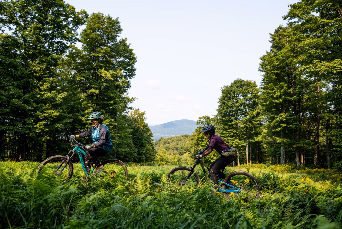 Vélo de montagne