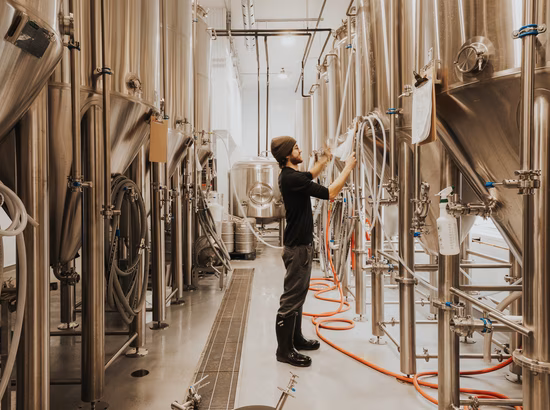 Cuves de bières à la brasserie Albion