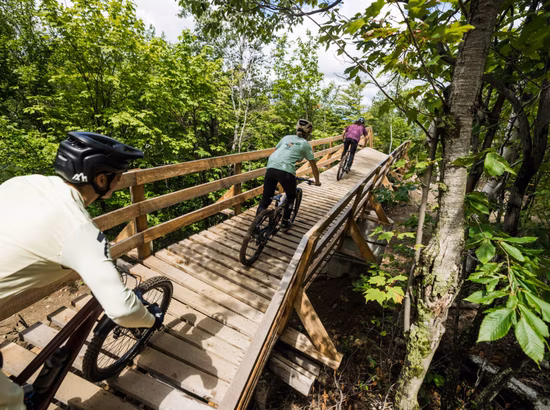 Vélo de montagne