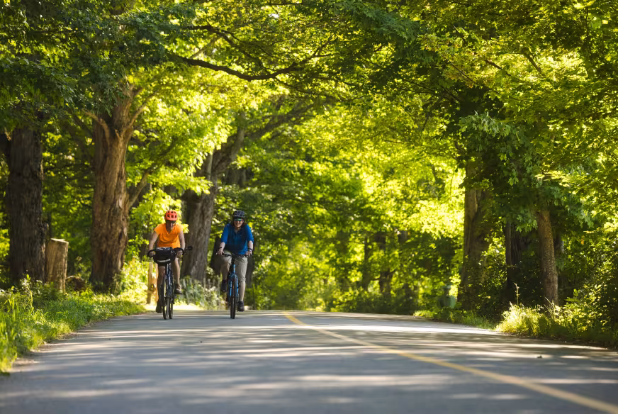 Cyclistes sur une route avec couvert forestier dans le Bas-Saint-Laurent