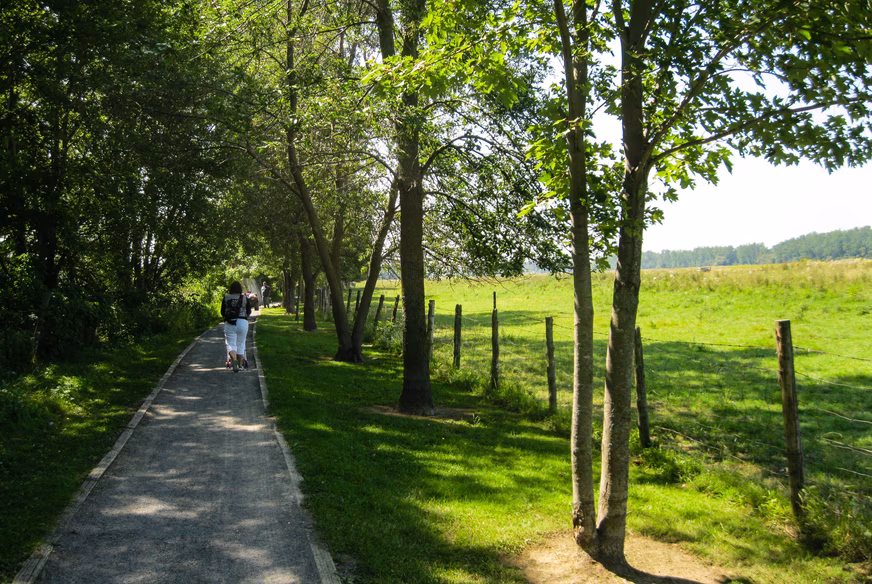 Balade dans les îles de Berthier