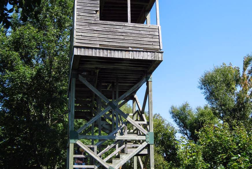 Tour d'observation dans les îles de Berthier