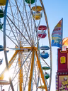 Fun Show Amusement