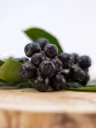 Aronia