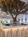 Pangea Restaurant Et Bar - Intérieur