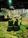 OASIS immersion - Nature vive