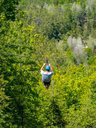 Site web 2026 - mise à jour - tourismemrcjoliette_attraits_tyrolienne_geante1