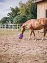 Cheval