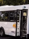 Autobus