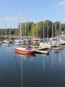 Vue des quais