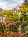 Parc-nature de l'Ile-de-la-Visitation - Ruines du Meunier