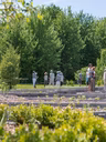 Jardins