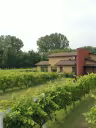  Vignoble Saint-Thomas