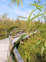 parc et sentier de la nature