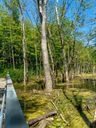 Parc-nature du Bois-de-l'île-Bizard