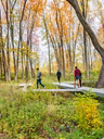Parc-nature du Bois-de-Liesse - Randonnée en automne
