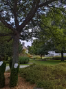 Domaine Howard
