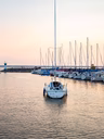 Marina d'Aylmer 