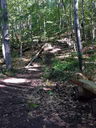 Sentier