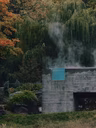 Bain panoramique 