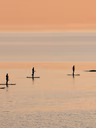 Séjour de planche à pagaie aux baleines