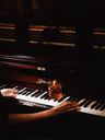 Lovebird - Piano