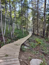 passerelle de bois