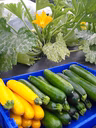 Mange tes légumes 