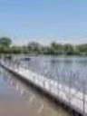 Berges Aristides - 1