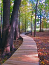 Passerelle refuge faunique