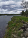 Parc municipal Walter-Mackenzie