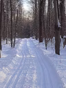 Sentiers de la Presqu'île - Hiver