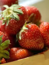 Fraises