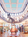 Galerie d'histoire naturelle