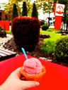 La Crème des Glaces