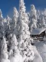 Neige abondante près de l'abri du lac Spruce