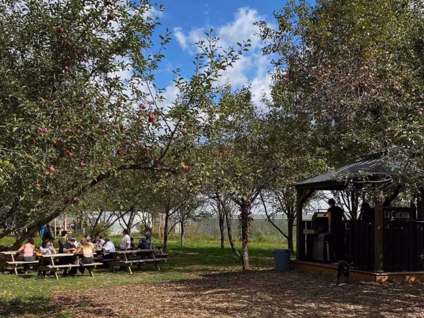 La Petite ferme Locale