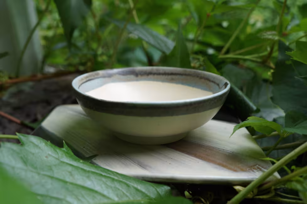 Coralie Huckel - Artiste Céramiste