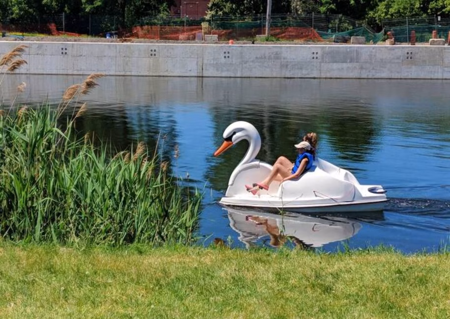 Aventures H2O - Cygne