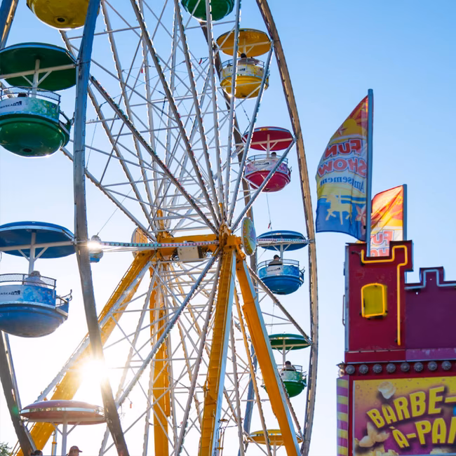 Fun Show Amusement
