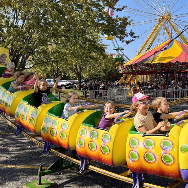 Fun Show Amusement
