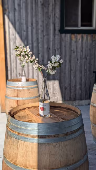 Table de dégustation