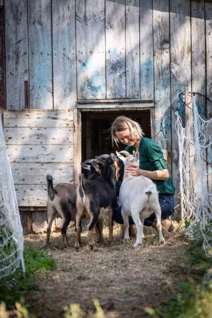 Nos chèvres affecteuses