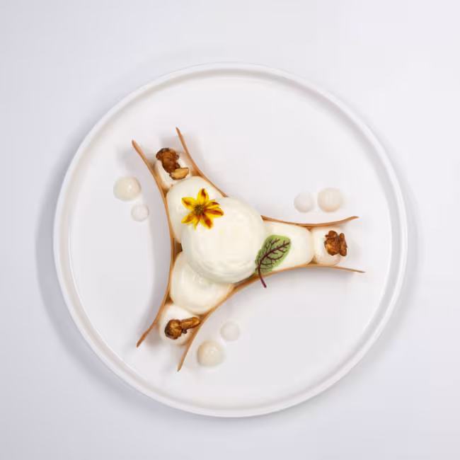 Ripplecove Hôtel & Spa 