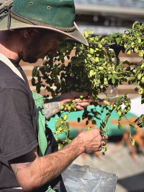 Trécarré Microbrasserie