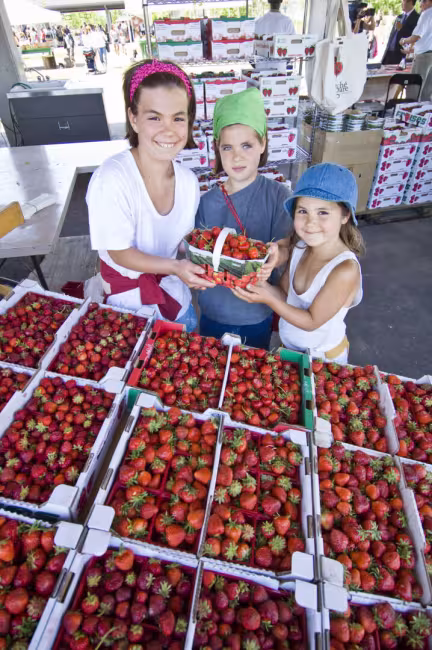 Marché de la Gare de Sherbrooke