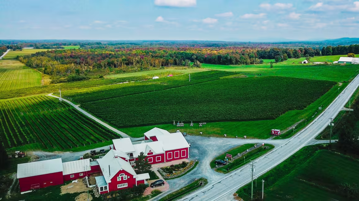 Vignoble Gagliano inc.