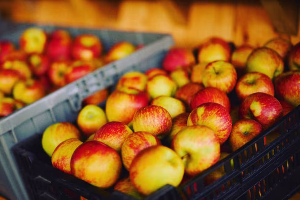 St-Germain photographie