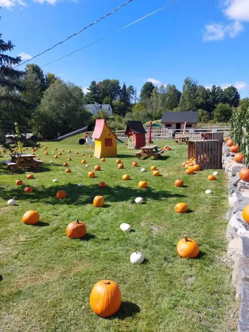 Plantations Stéphan Perreault